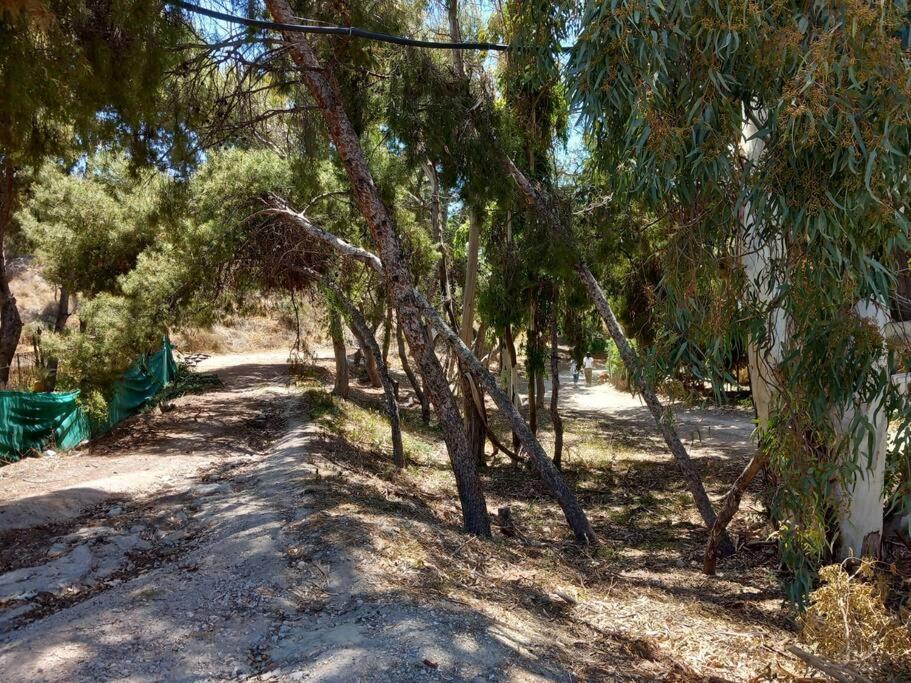 Acogedor Bungalow Adosado El Campello Εξωτερικό φωτογραφία